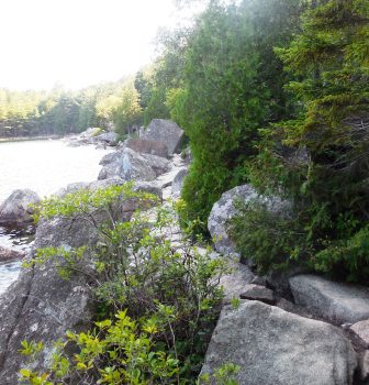 Jordan Pond Hike