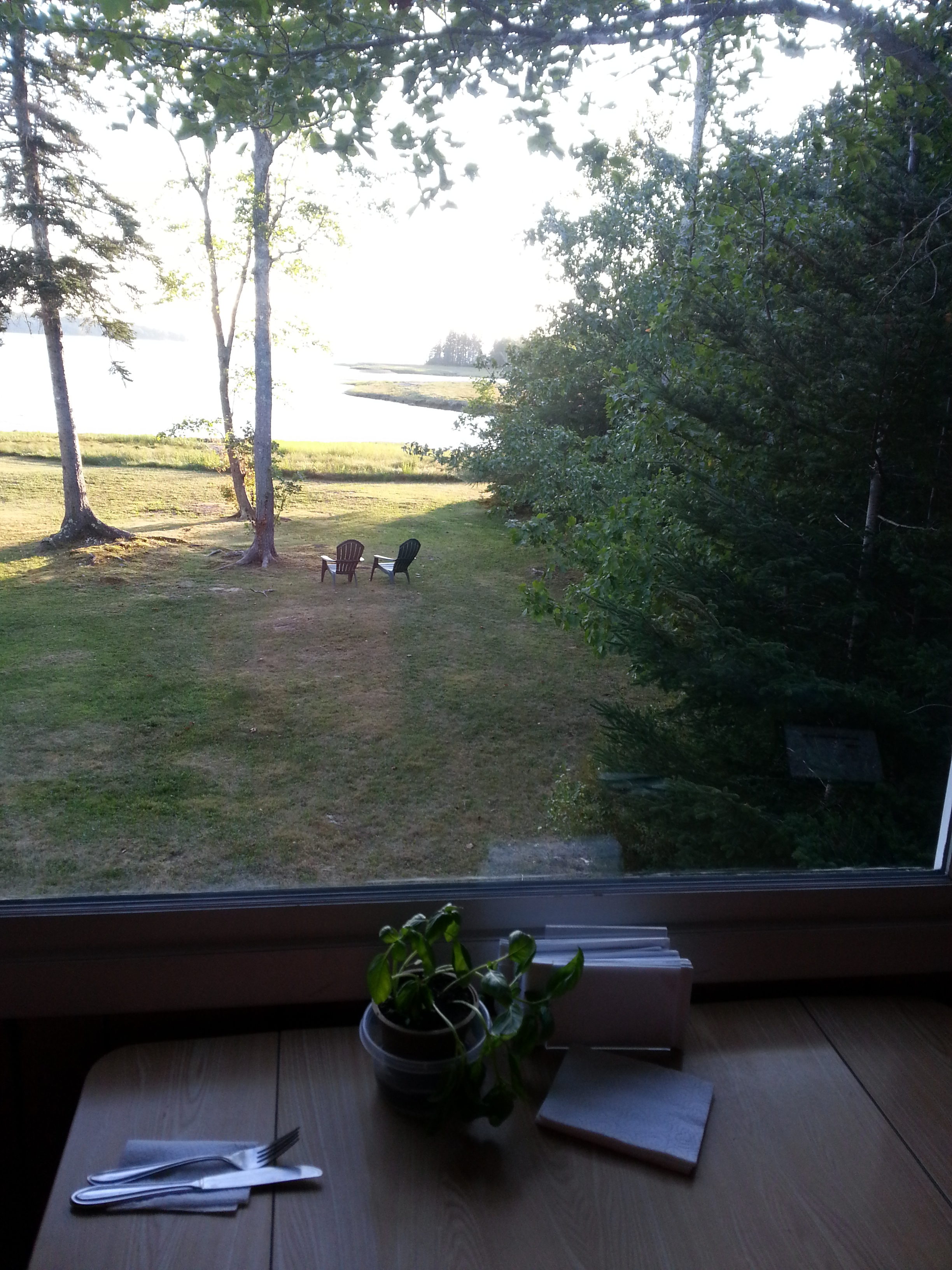 Downeast Downies
