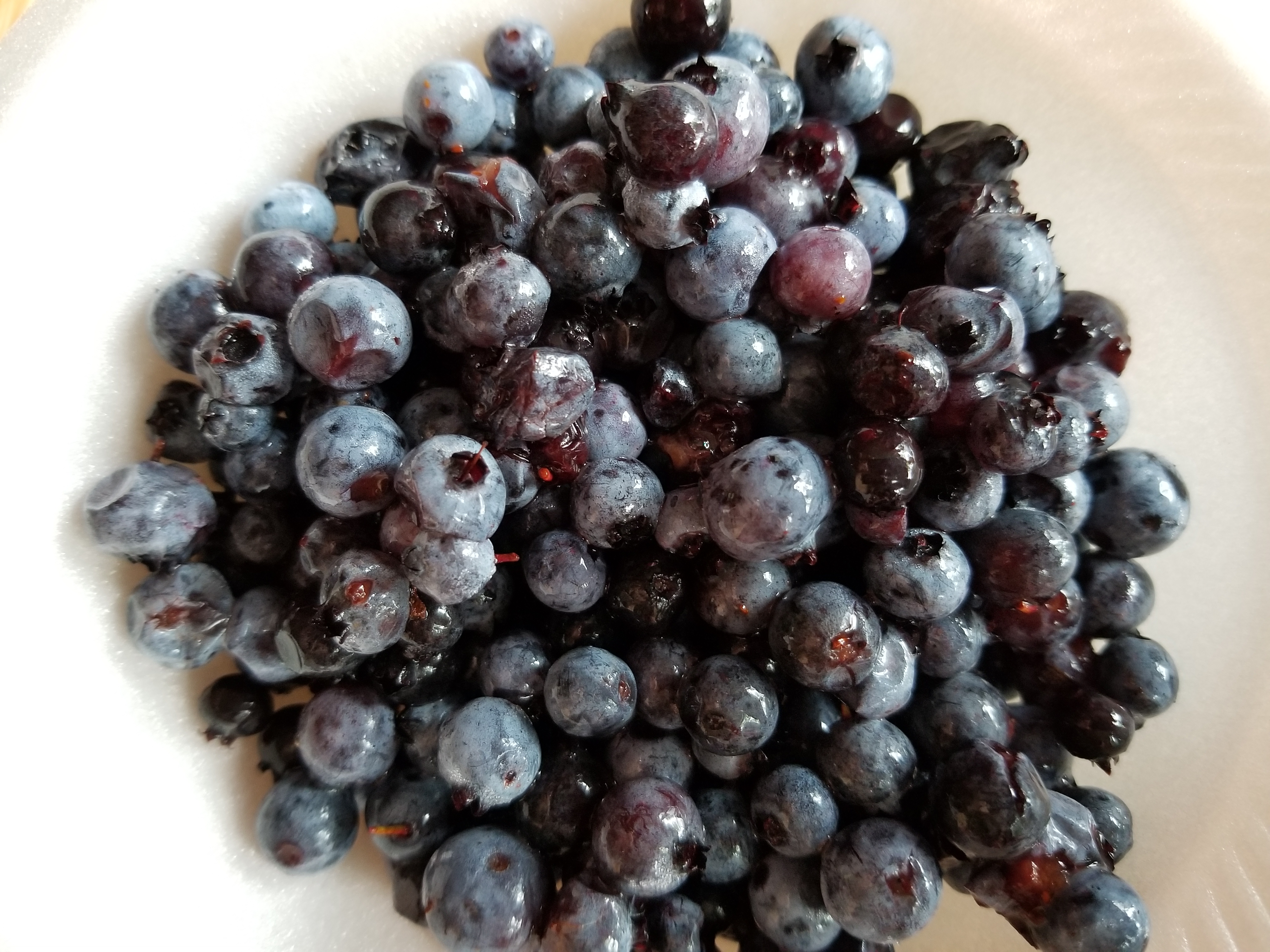 Blueberries and LOBSTA Saves the Day